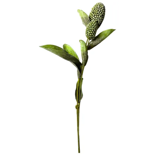 F101 - Greenery - Double Pod Spray - 46.5