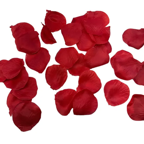 F49 - Rose Petals - Red - 300 Pcs