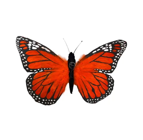 BB15 - Animals - Butterfly - 26