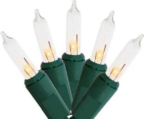 Rental - L01 - Light Strand - 25' - Green Cord - End To End - Warm White - Incandescent