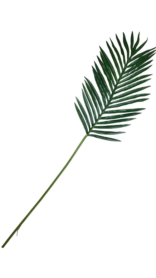 G57 - Greenery - Areca Palm - 40