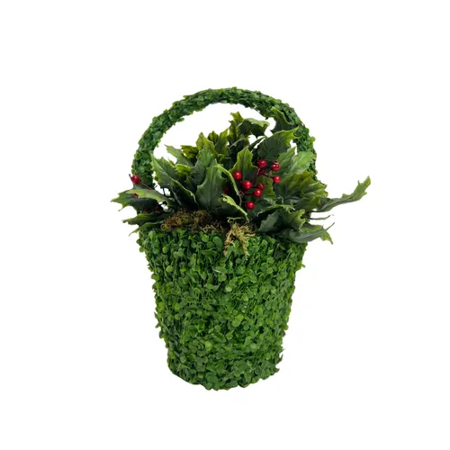 Smalls - Potted - 11