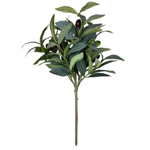 G87 - Greenery - Olive Branch - 14.5