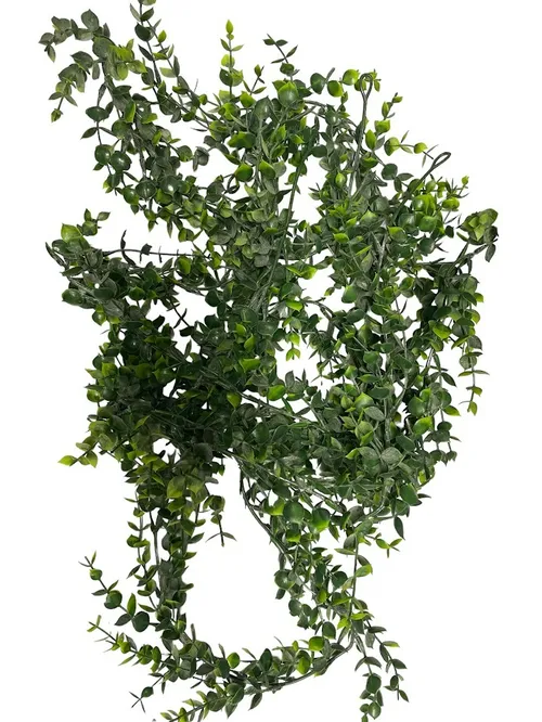 Eucalyptus Greenery
