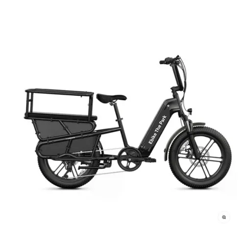 Kid Carrier 20''  Electric Bike