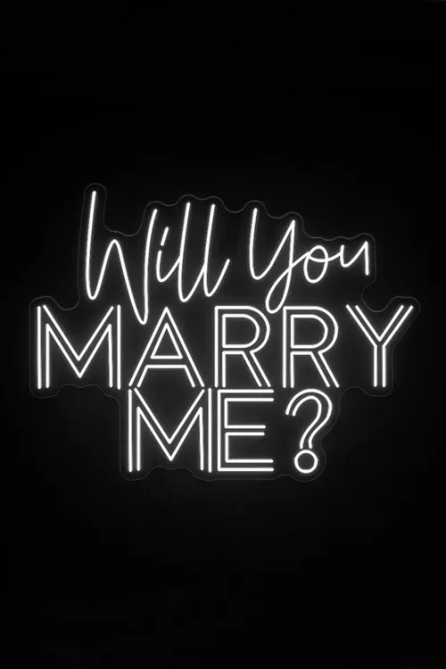 Will You Marry Me - Neon LED sign