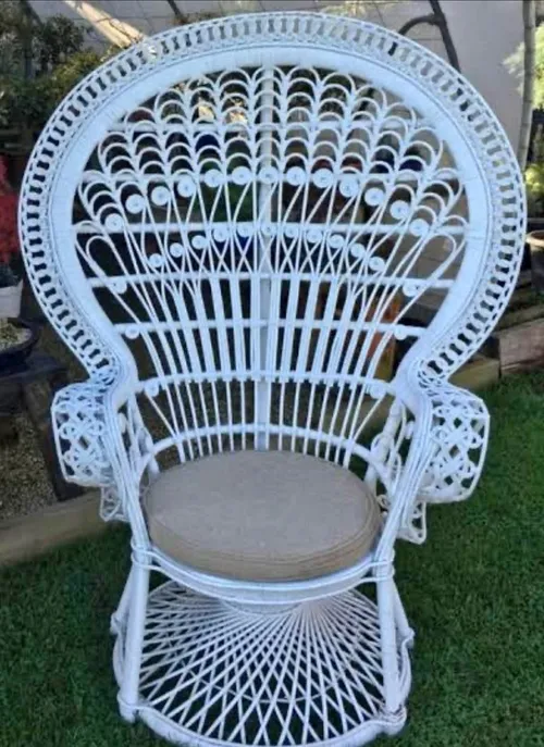 Peacock Chair