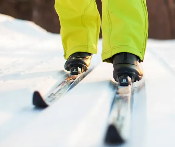 Cross Country Skiing collection image