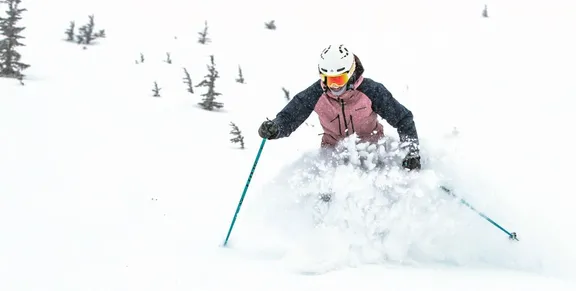Dames Ski's collection image