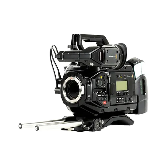 Camera Body collection image