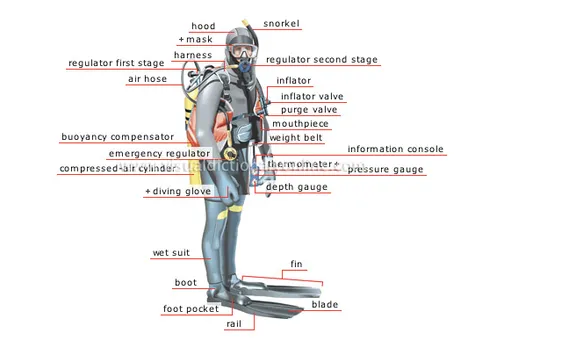 Buoyancy Compensation Devices (BCDs) collection image