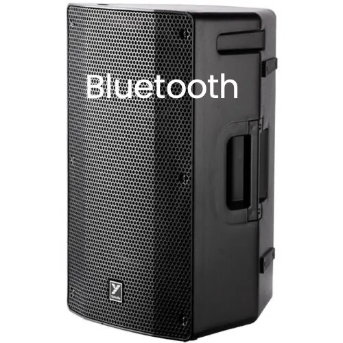 SPEAKERS - FULL RANGE 12