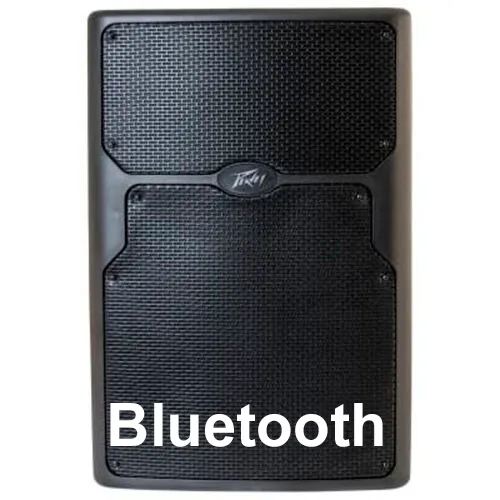 SPEAKERS - FULL RANGE 15