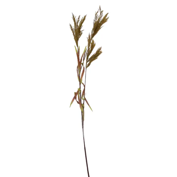 Category_Greenery collection image