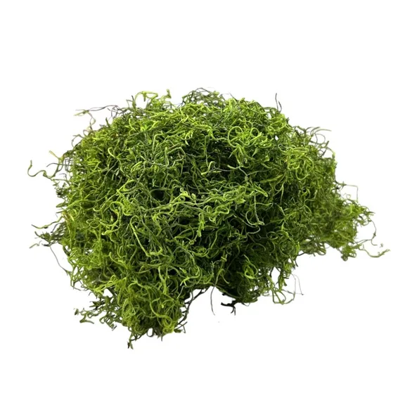 Moss collection image