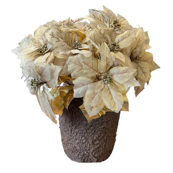 Category_Poinsettias collection image