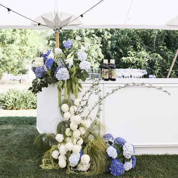 Bars & Carts collection image