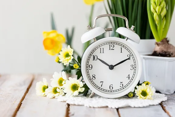 Spring Time collection image