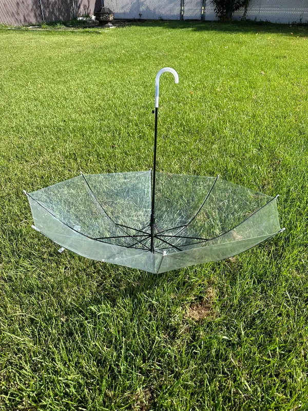 Clear Umbrellas JDL Event Rentals, Edmonton, Alberta