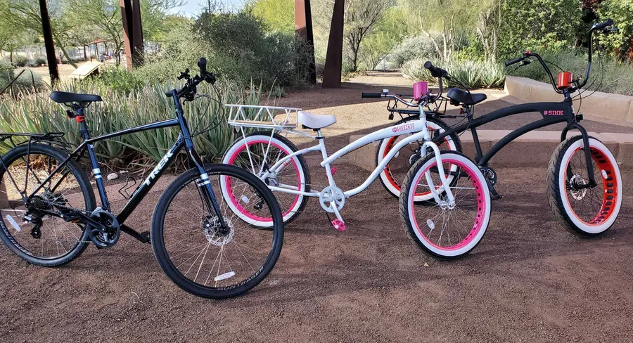 costco beach cruiser